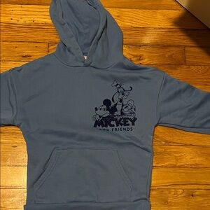 Disney Blue Mickey and Friends Hoodie